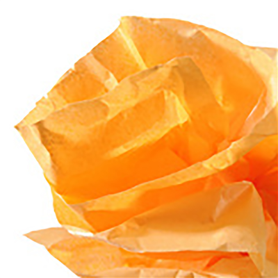CANSON Papier de soie 0,5 x 5,0 m 20 g/m2 orange