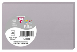 Pollen by Clairefontaine Carte 82 x 128 mm gris koala