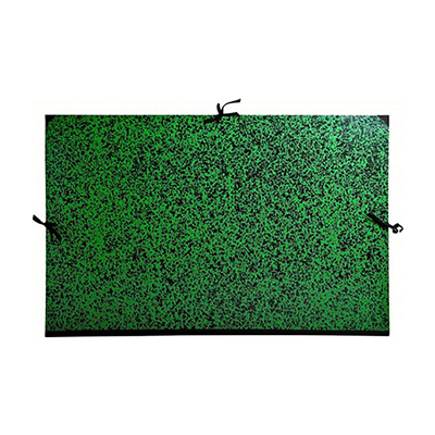 EXACOMPTA Carton à dessin 670 x 940 mm carton vert