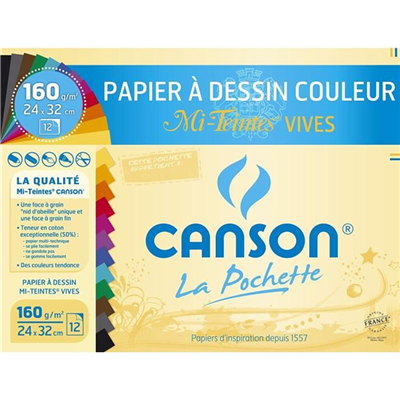 CANSON Papier dessin Mi-Teintes, 240 x 320 mm, assorti C200002776