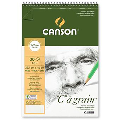 CANSON Album spiralé de papier dessin C à grain A3