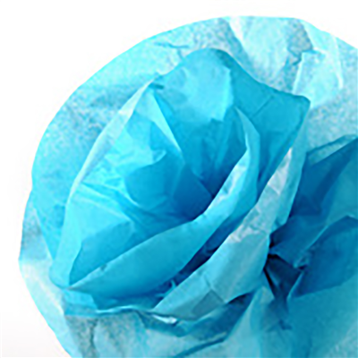 CANSON Papier de soie 0,5 x 5,0 m 20 g/m2 bleu turquoise