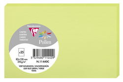 Pollen by Clairefontaine Carte 82 x 128 vert bourgeon