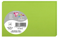 Pollen by Clairefontaine Carte 82 x 128 mm vert menthe