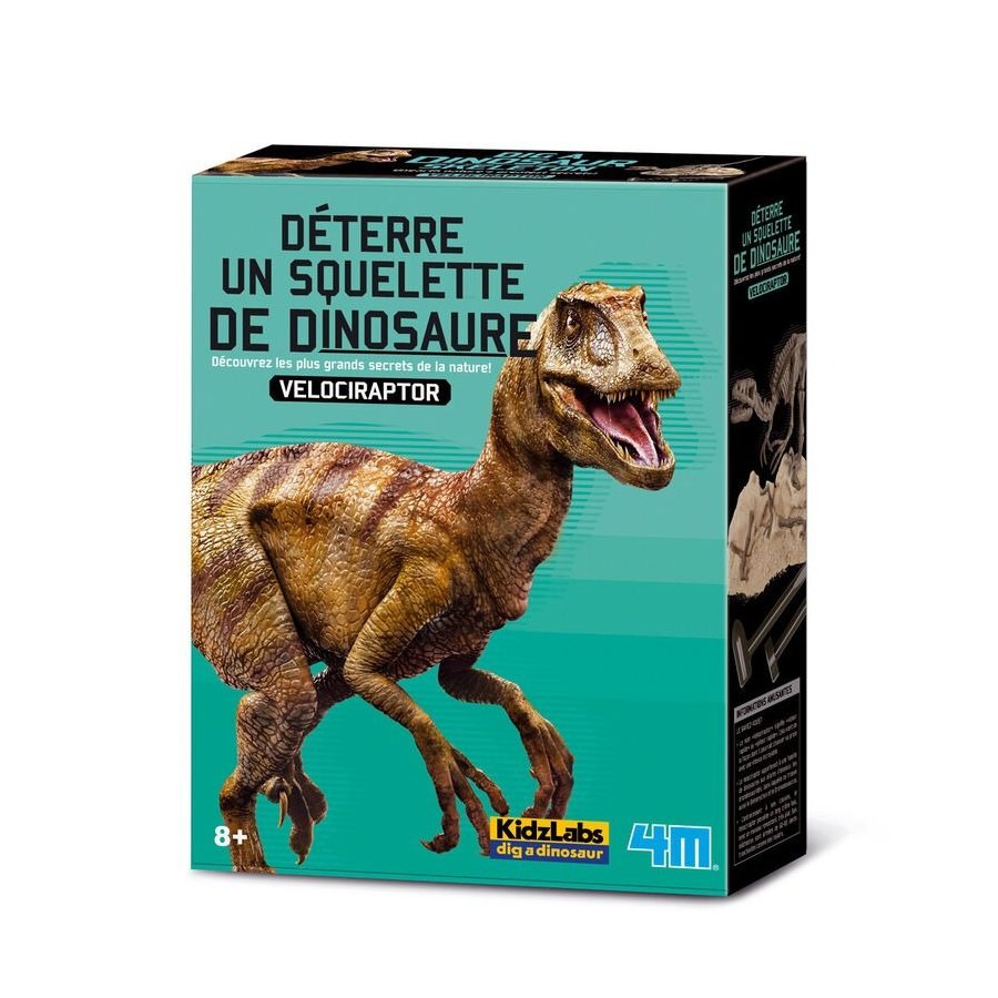 KIT DAM KIT DE MOULAGE DINOSAURES 3D Velociraptor