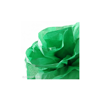 CANSON Papier de soie 0,5 x 5,0 m 20 g/m2 vert franc