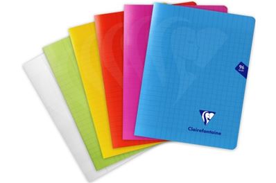 Clairefontaine Cahier Mimesys 17 x 22 cm - 96 pages Seyes 303741C