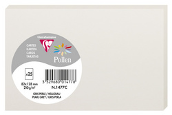 Pollen by Clairefontaine Carte 82 x 128 mm gris perle