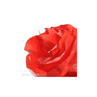 CANSON Papier de soie 0,5 x 5,0 m 20 g/m2 rouge