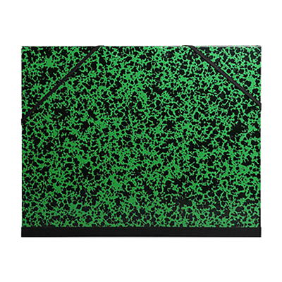 EXACOMPTA Carton à dessin 370 x 520 mm carton vert