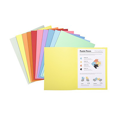 EXACOMPTA Chemises SUPER 250 A4 assorti