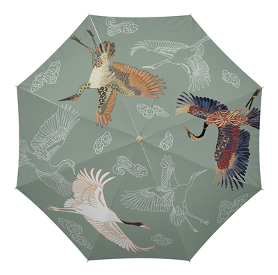 Editons de Désastre Parapluie Collection Pepakura Grues