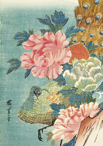 Art & Kraft Cahier A5 Hiroshige Paon