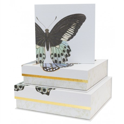 Punch Studio boîte carrée gigogne Petit Modèle - Blue Mint Butterfly