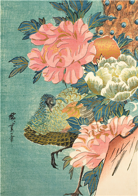 Art & Kraft Le Musée Cahier A5 Paon - Hiroshige