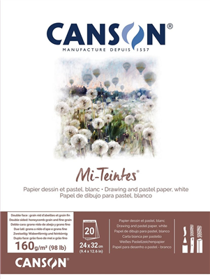 CANSON Papier beaux-arts Mi-Teintes en bloc 240 x 320 mm