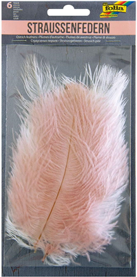 folia Plumes d'autruche, longueur : env. 170 mm, assorti